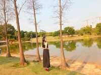 Xiangmi Park 香蜜公園