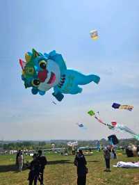 Kite festival in Weifang, Shandong 