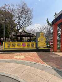 Petals & Paradise: My Cherry Blossom Adventure in Jinhae