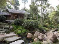 🍃 Zen Vibes Only: A Peaceful Pause at Bukit Tinggi’s Japanese Garden 🏯✨