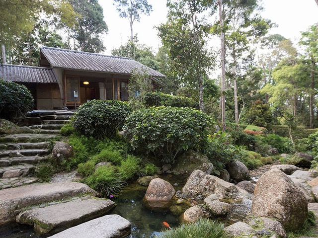🍃 Zen Vibes Only: A Peaceful Pause at Bukit Tinggi’s Japanese Garden 🏯✨
