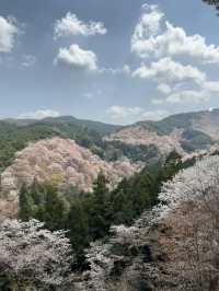 Yoshinoyama: Japan’s Sacred Mountain of a Thousand Blossoms