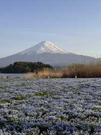 Tokyo thrills, Fuji chills 