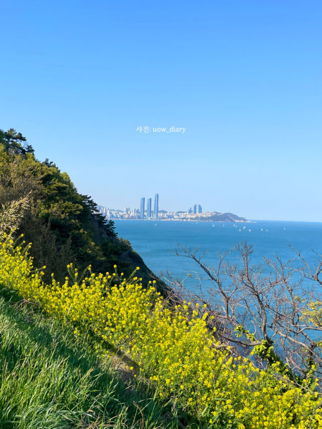 부산 바다보며 즐기는 산책코스 여기!