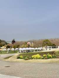 🇯🇵 名古屋吉卜力公園免費打卡位🎀