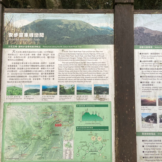 大屯山｜霧中漫步杜鵑花