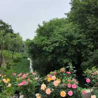 ～列聖生態休閒公園～游走於繁花之間～
