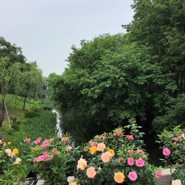 ～列聖生態休閒公園～游走於繁花之間～