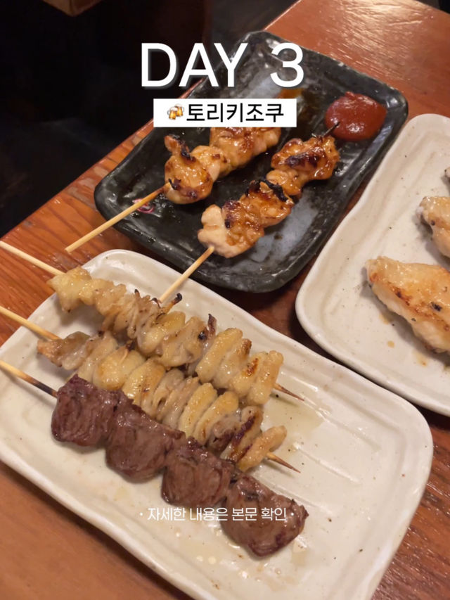 나고야 여행 3일차 일정 공유(이누야마 포함)