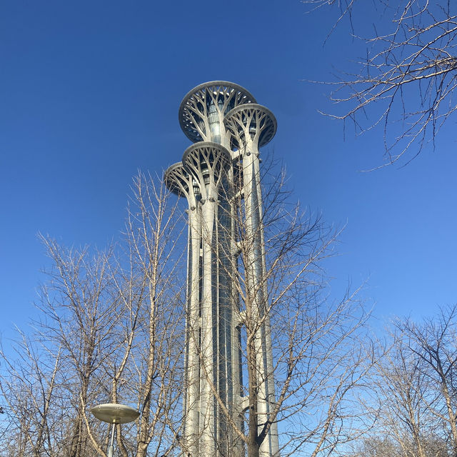 13-day Tour of Shanghai, Dezhou, Beijing, and More