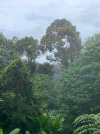 The Penang Hill