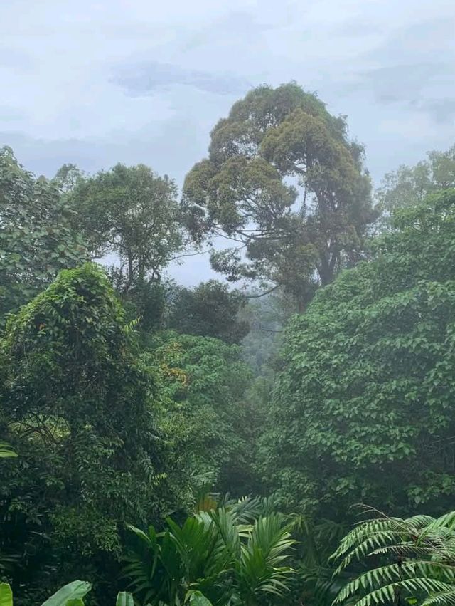 The Penang Hill