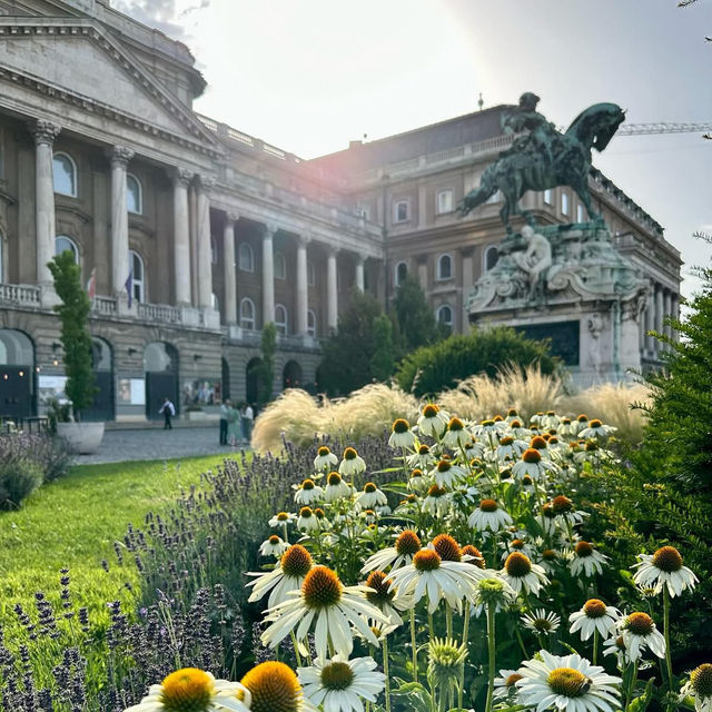 🚶‍♀️✨ "Weekend Wanderlust: A Magical City Walk Through Budapest’s Heart