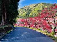 【長野県・花桃の里】まさに桃源郷