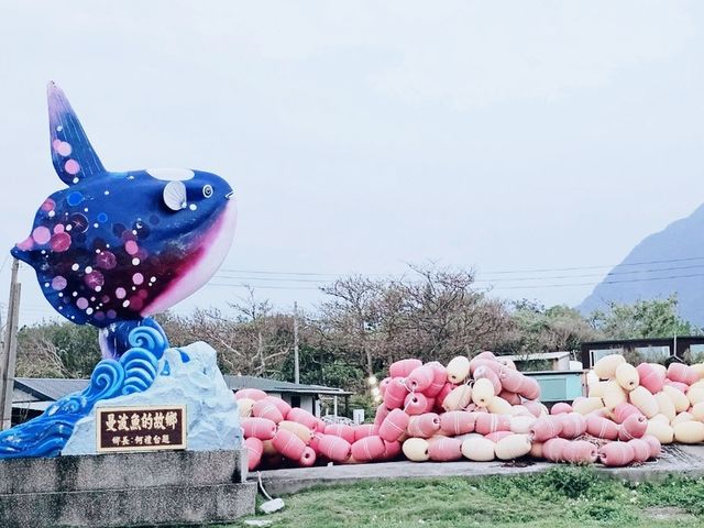 花蓮海岸之旅行，從七星潭到太平洋的蔚藍散策。