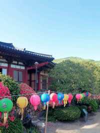 단아한 천년고찰 순천 선암사