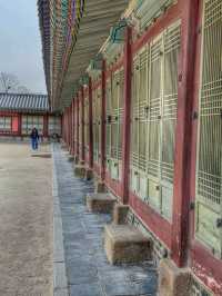 A Royal Winter Stroll: Discovering Gyeongbokgung Palace in December