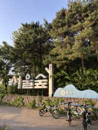 피크닉하기좋은 서울 성동구 서울숲🫣