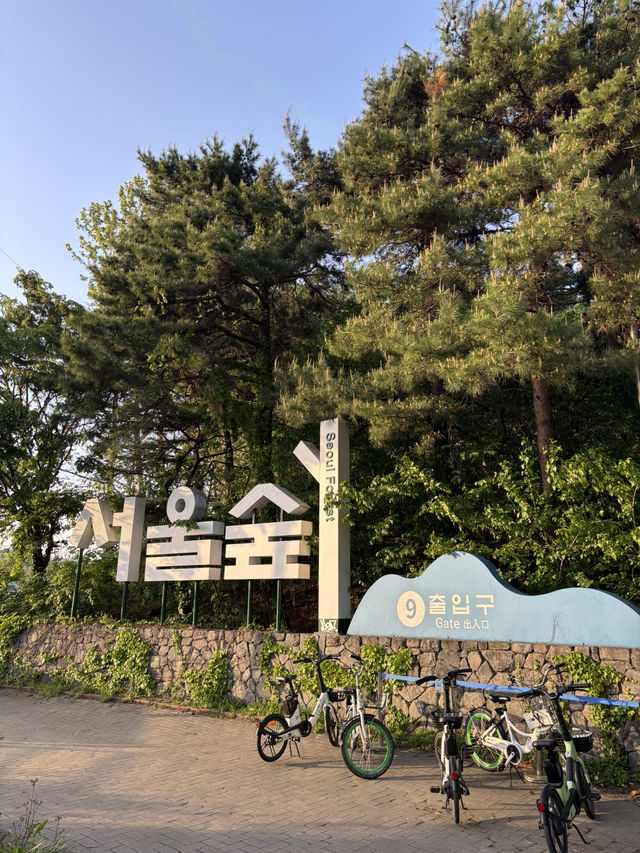 피크닉하기좋은 서울 성동구 서울숲🫣