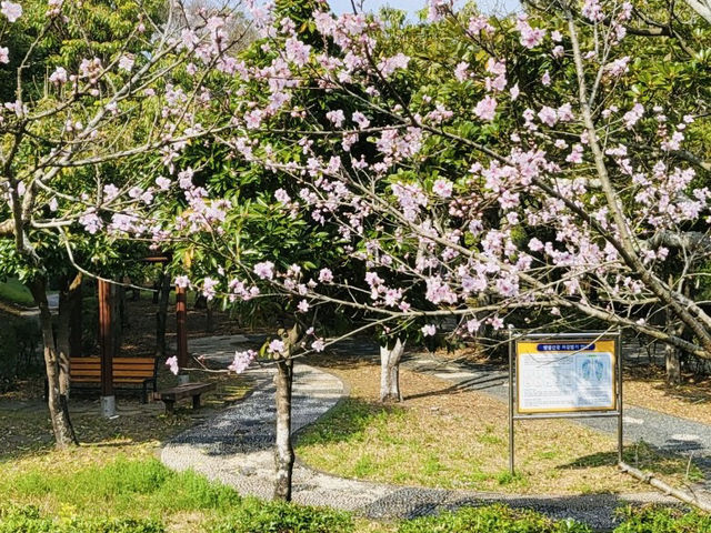 Geolmae Ecological Park in Jeju