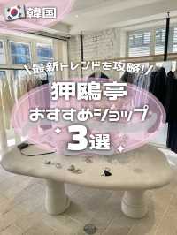 【🇰🇷狎鴎亭】オススメの洋服屋"3選"🩶ˎˊ˗韓国トレンドを攻略🪽ˎˊ˗