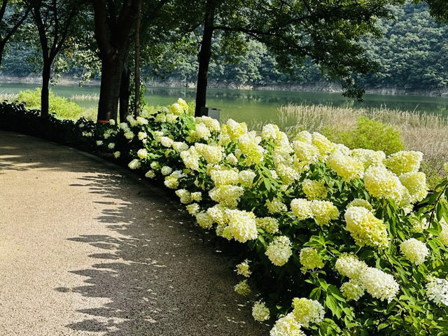 A Trip to Janggye Tourist Site in Okcheon, Near Daejeon