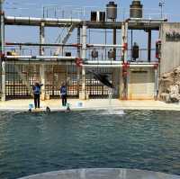 海と水槽が一体化？！温泉地から近い、城崎マリンワールド
