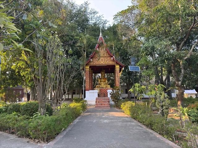 Peaceful Mornings at Wat Sop Sickharam: A Hidden Gem in Luang Prabang