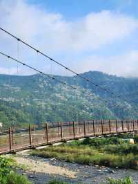 苗栗桐花5月雪初體驗，包車遊玩更舒適，雖然少少貴