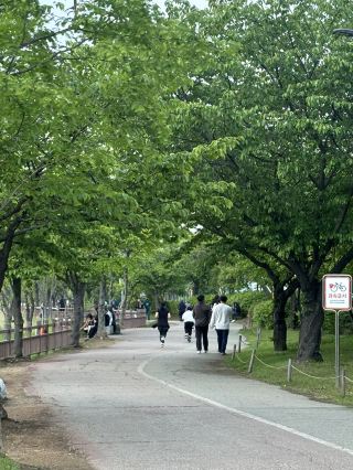 Bucheon’s Hot Spot Botanical Garden!