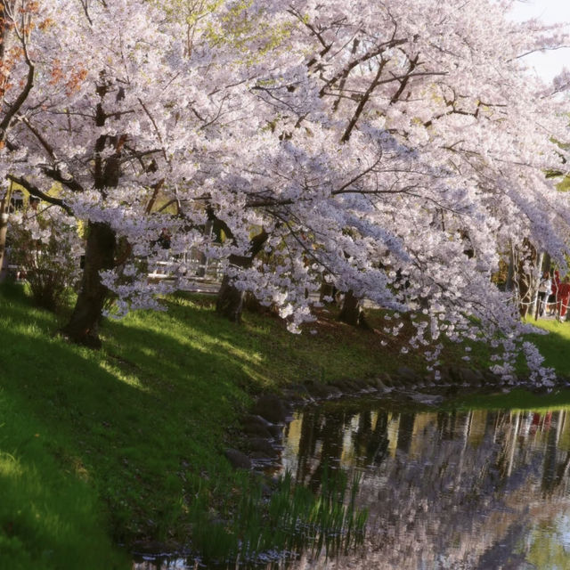 札幌一個公園隨手拍拍就美成這樣