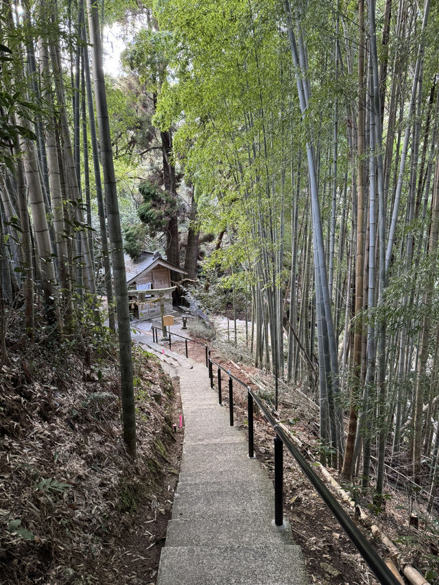 【熊本旅行】竹林に囲まれた知る人ぞ知るパワースポット神社⛩