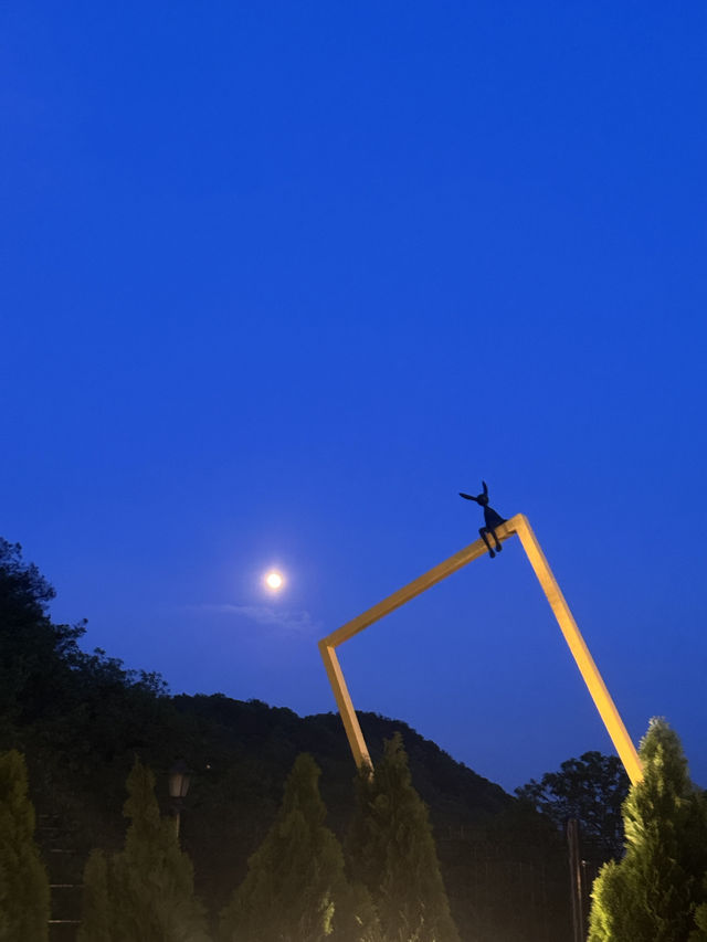 가족끼리 보내는 숲을 품은 고요한 자연에서의 하루 🕊️✨🌿