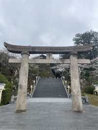 【佐賀景點推薦】 武雄神社⛩️｜穿越千年時光的巨木秘境