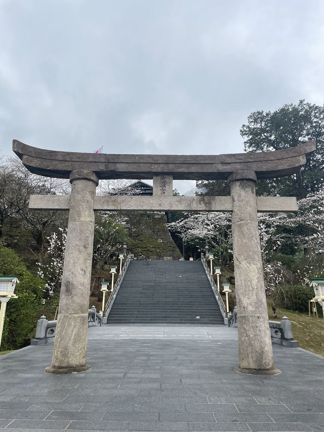 【佐賀景點推薦】 武雄神社⛩️｜穿越千年時光的巨木秘境