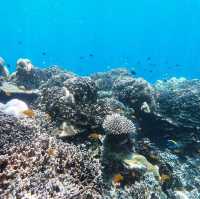 หมู่เกาะสุรินทร์