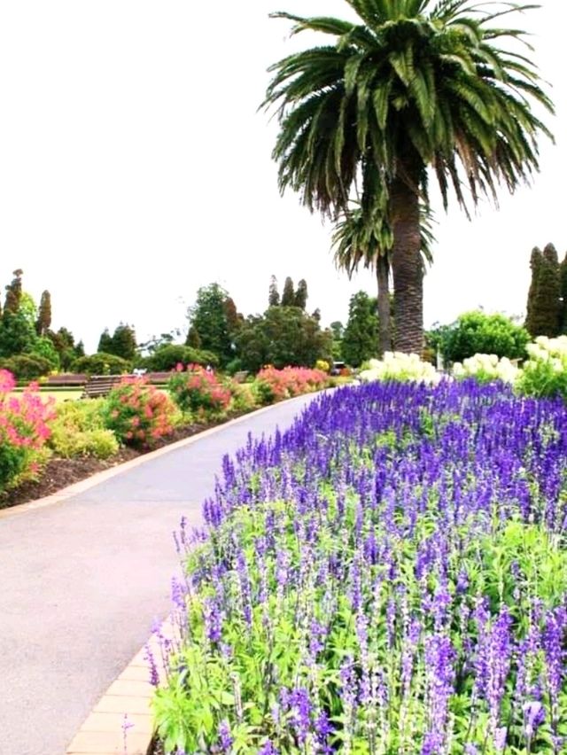 #市政花園-紐西蘭羅託盧瓦