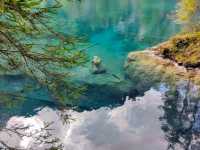 瑞士藍湖 Blausee，如畫一般的透藍翠綠絕景