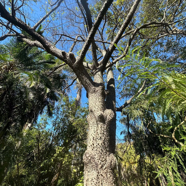 ​喜士定公園 - 寬廣綠港