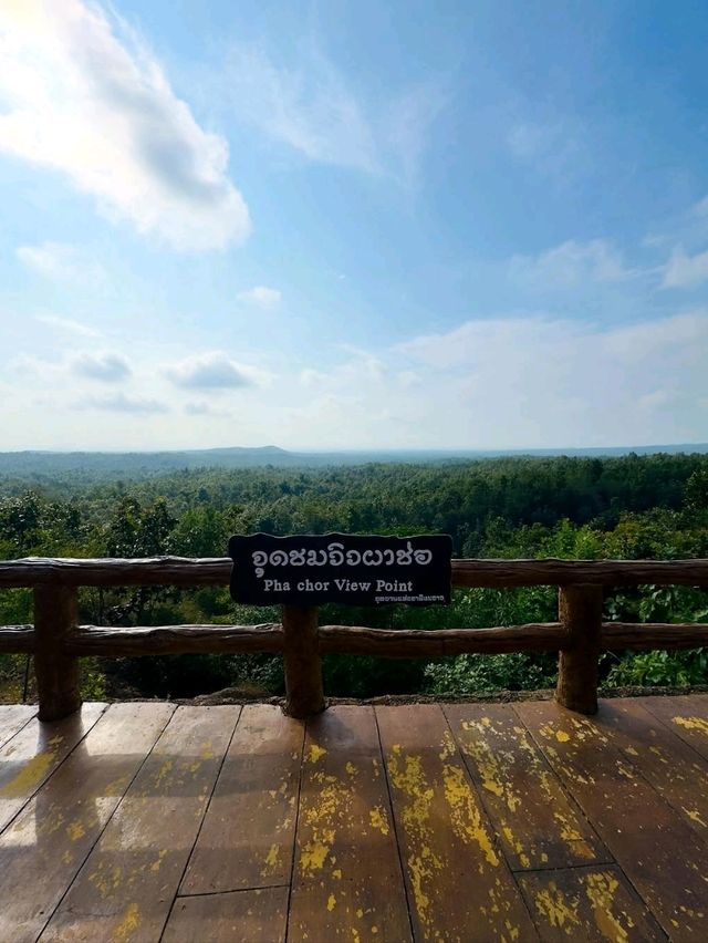 Chiang Mai’s Hidden Springtime Oasis