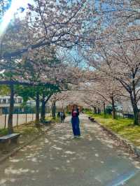 Exploring Fukuoka: Japan’s Coastal Gem Full of Flavor and Culture