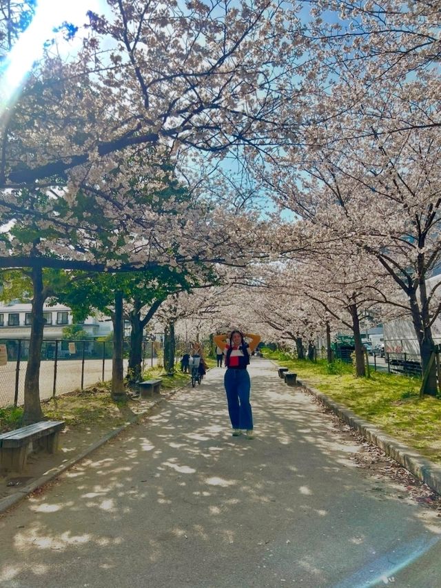 Exploring Fukuoka: Japan’s Coastal Gem Full of Flavor and Culture