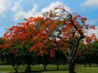 Sukhothai Serenity – Where Thailand’s Soul Was Born