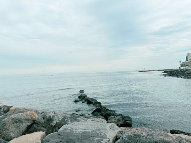 🌁 제주, 구름다리 그리고 그리움