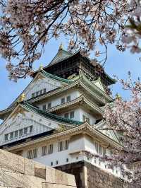 OSAKA CASTLE PARK | A HISTORIC CHERRY BLOSSOM RETREAT