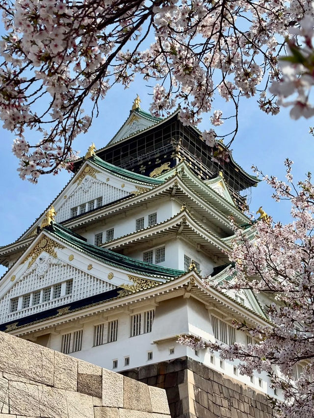 OSAKA CASTLE PARK | A HISTORIC CHERRY BLOSSOM RETREAT