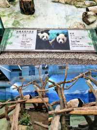Exploring Taipei Zoo: Tips for a Great Visit