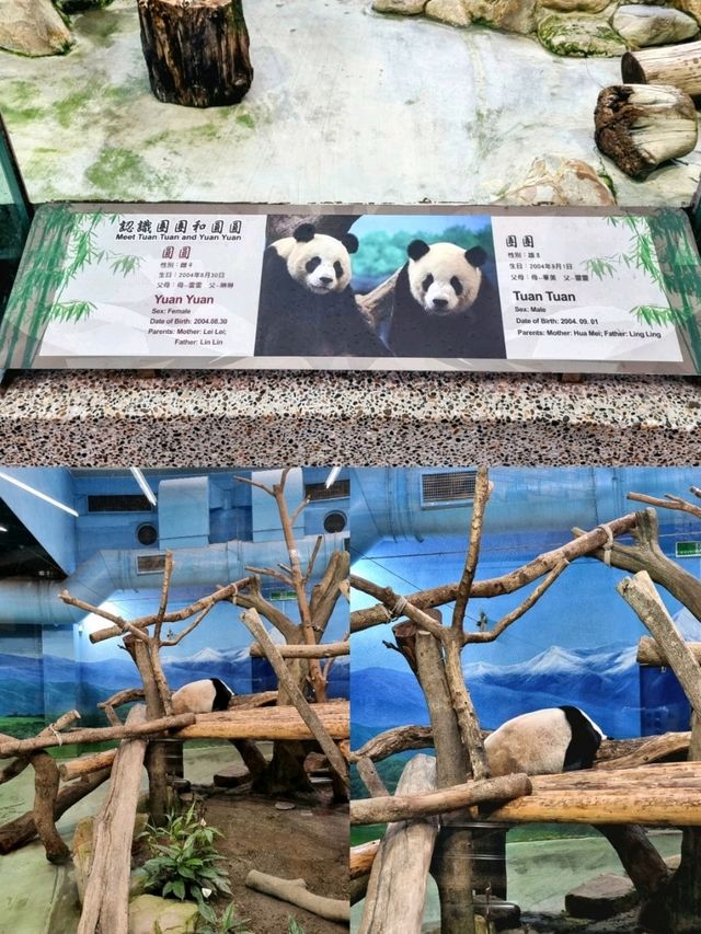 Exploring Taipei Zoo: Tips for a Great Visit