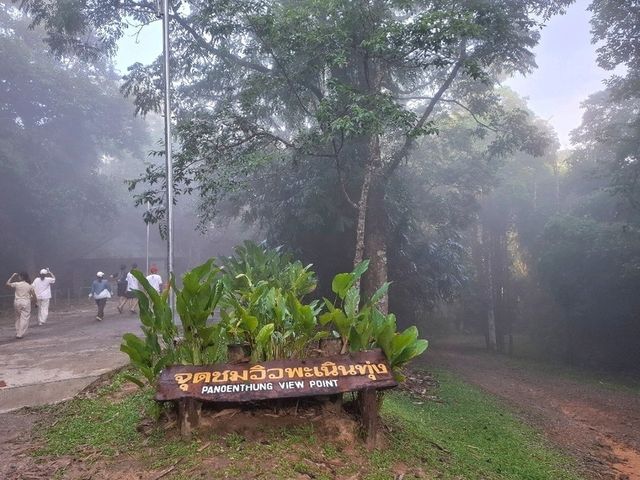 ชมวิวทะเลหมอกเขาพะเนินทุ่ง