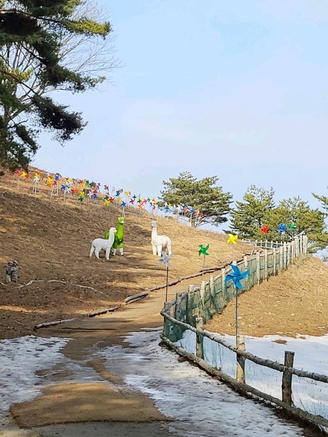 동물,숲 그리고 사랑하는마음_용평에니포레